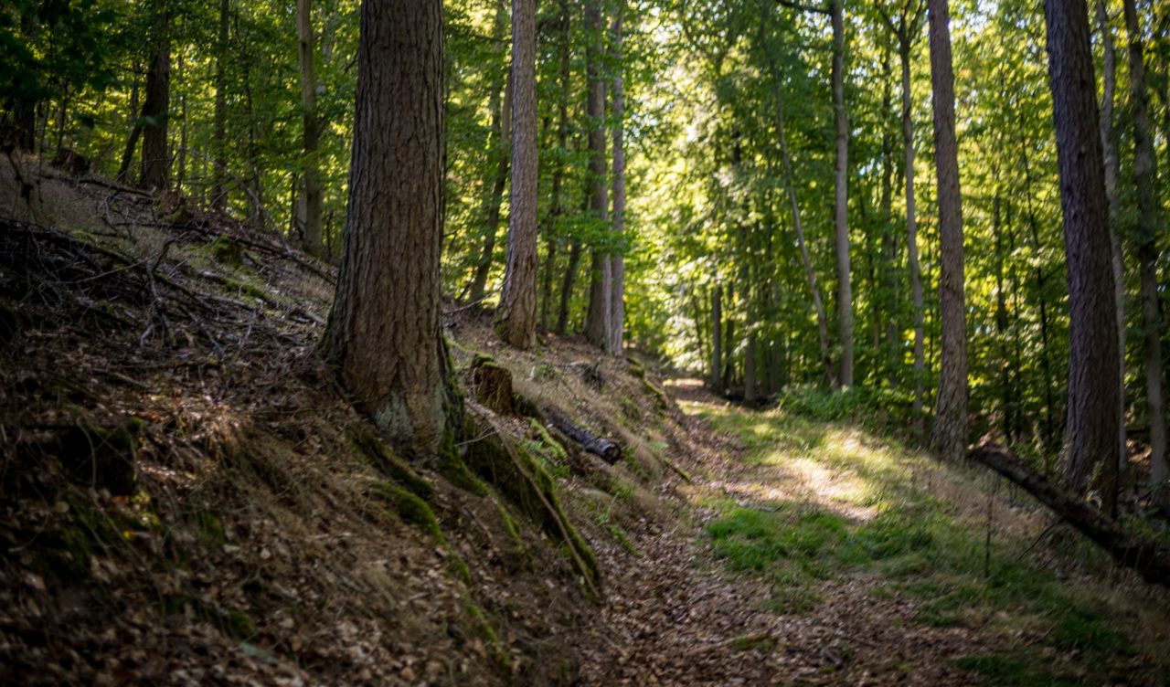 Landschaftsaufnahme